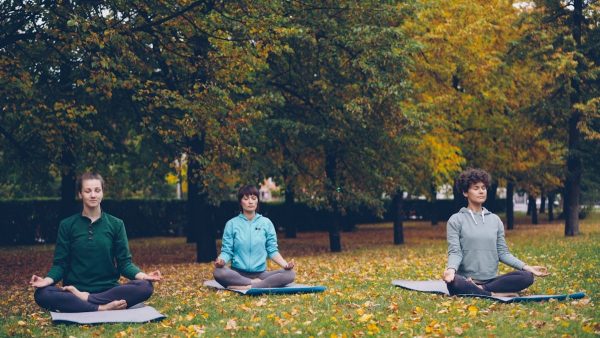 Učinkoviti nasveti za družinski wellness